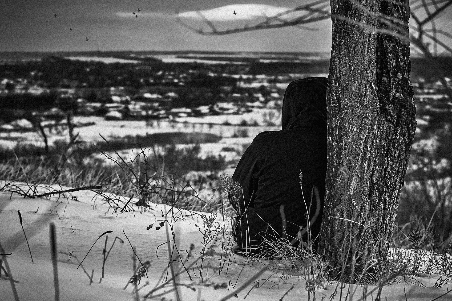 Метафори — Пам'ять, близькість і простір. Фотографія 8.
