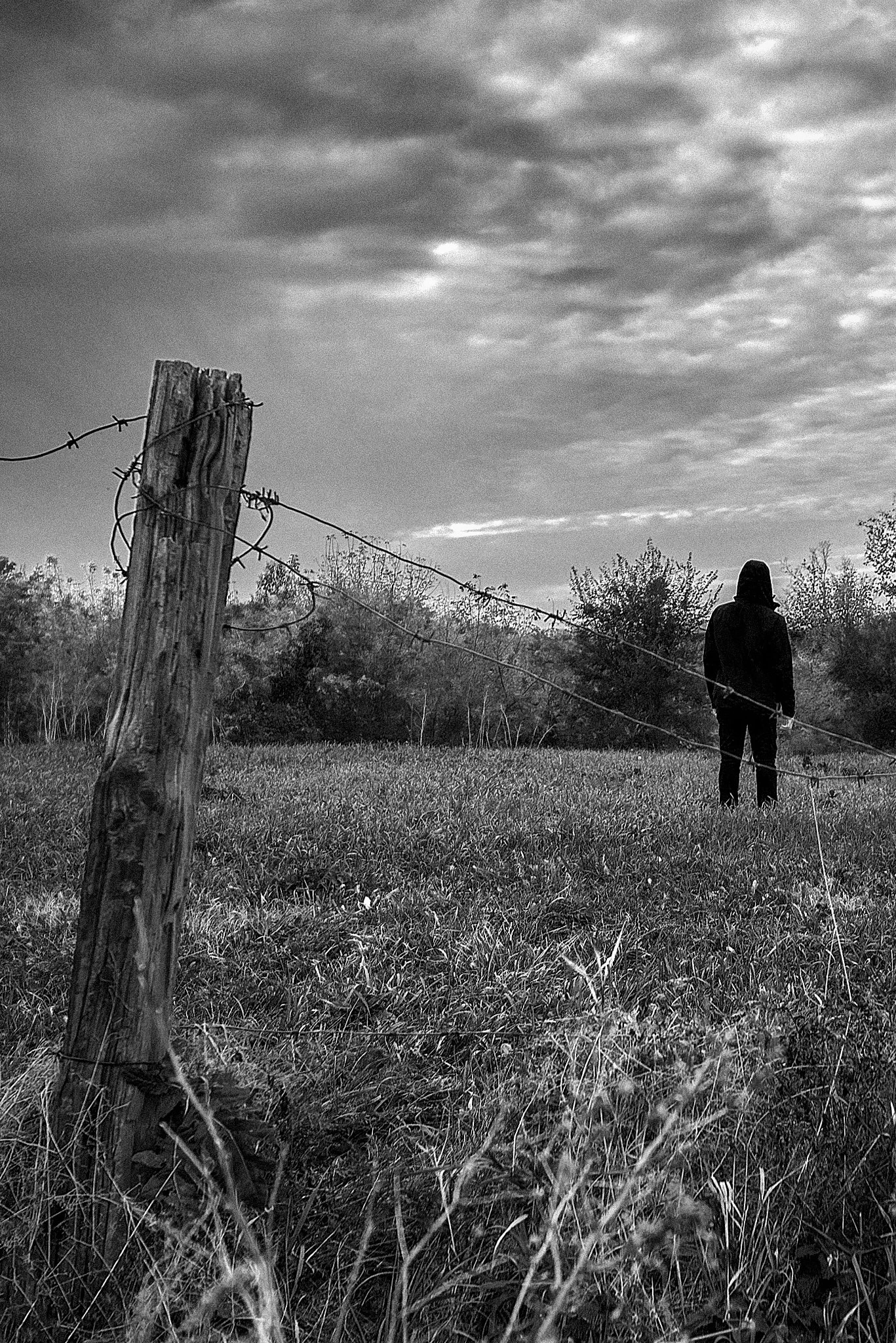 Метафори — Пам'ять, близькість і простір. Фотографія 9.