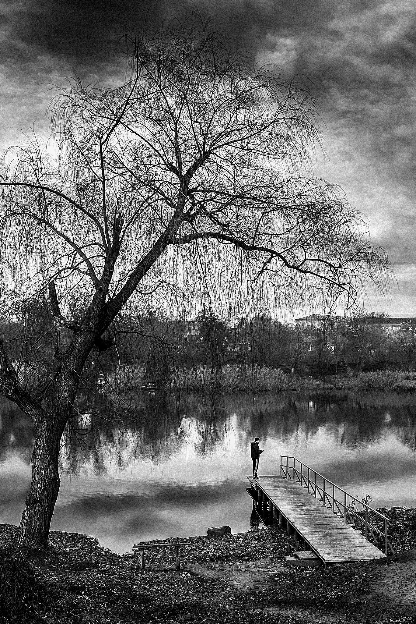 Метафори — Пам'ять, близькість і простір. Фотографія 14.