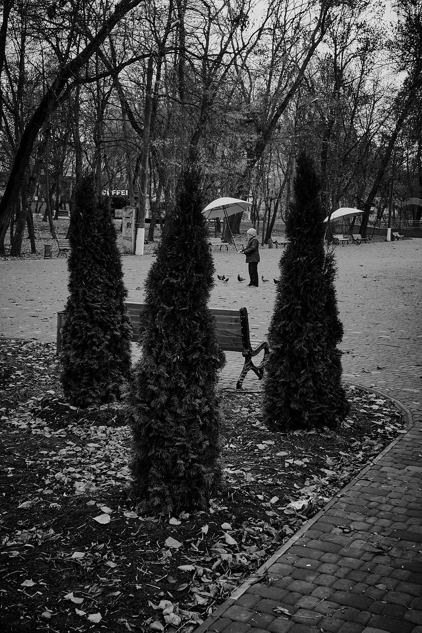 Вуличні моменти — Випадкові зустрічі у місті. Фотографія 20.